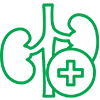 Icon Repersent Urology